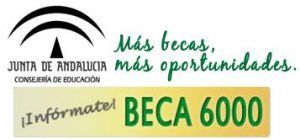 beca-6000-logotipo-ies-alvar-nuñez-jerez