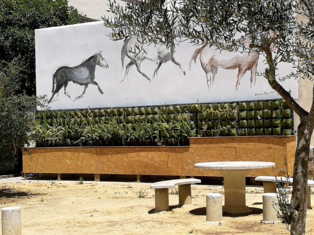 jardin-vertical-fresco-ies-alvar-nuñez-11