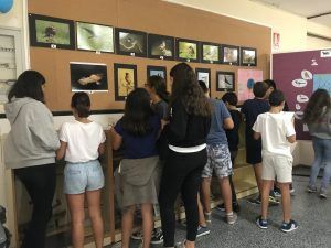 dia-mundial-aves-exposicion-fotografica-ies-alvar-nuñez-jerez-2