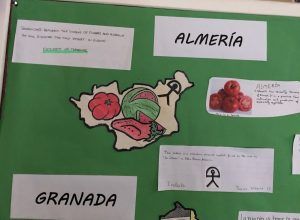 dia-andalucia-ingles-ies-alvar-nunez-jerez-2